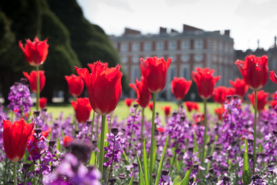 Hampton Court by Russell Trow - Flickr 