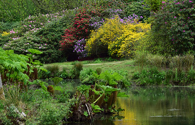 Leonardslee Lake & Gardens by Mark - Flickr